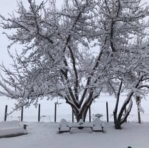 Meet your Posher, Anne